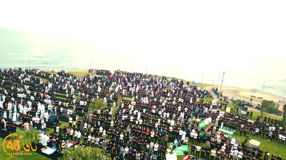 WhatsApp Image 2023-06-28 at 11.33.45 AM (2).jpeg